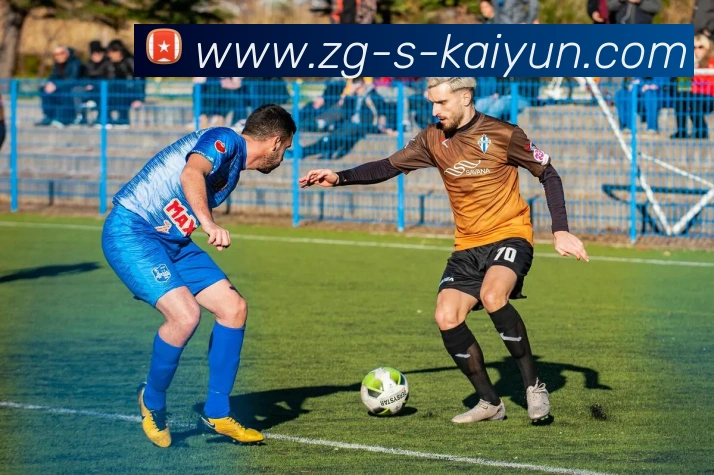 开云APP 高清赛事图